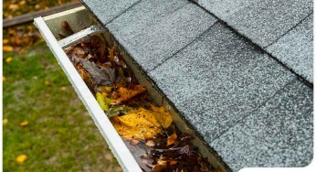 Culprits Behind Gutter Clogs