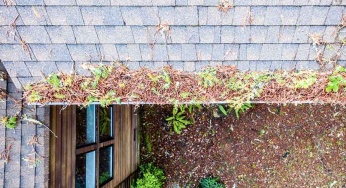 6 Things That Can Clog Your Gutters