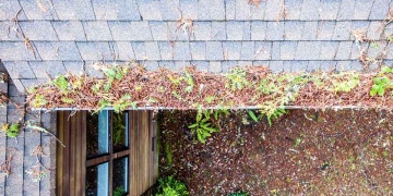gallery_515-quality1roofing2-4_1714443834.jpg