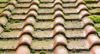 Effects of Humidity on Roofing Systems